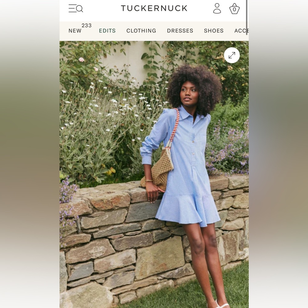 Tuckernuck Blue Mini Dress